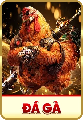 Đá gà DH88