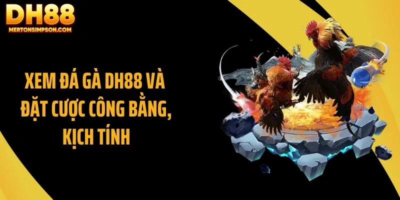 Xem đá gà DH88 và đặt cược công bằng, kịch tính